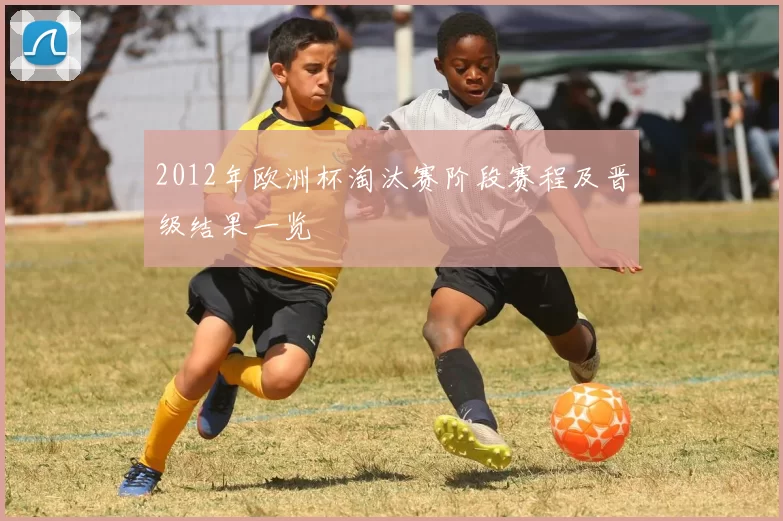 2012年欧洲杯淘汰赛阶段赛程及晋级结果一览
