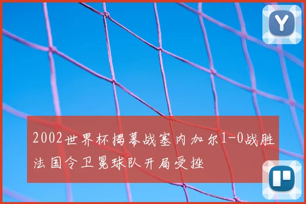 2002世界杯揭幕战塞内加尔1-0战胜法国令卫冕球队开局受挫
