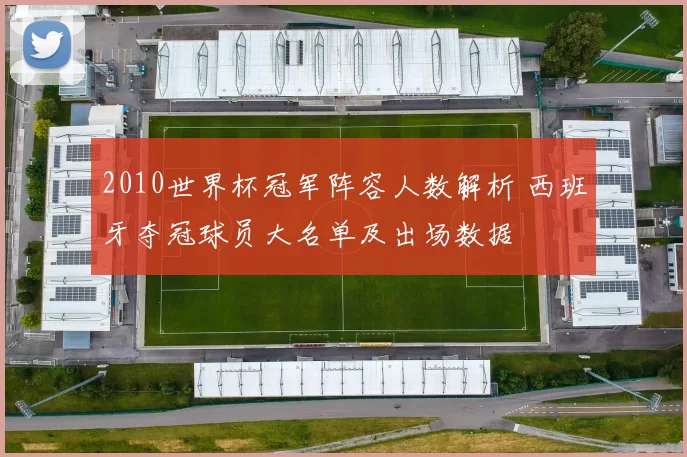 2010世界杯冠军阵容人数解析 西班牙夺冠球员大名单及出场数据